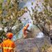Il gruppo Alfa di protezione civile impegnato a contenere una serie di incendi