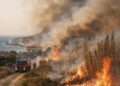 Incendio a Punta Cirica: fiamme vicino alle abitazioni