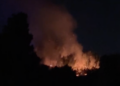 Fiamme nella riserva del Pino d’Aleppo, situazione critica a Vittoria