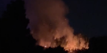 Fiamme nella riserva del Pino d’Aleppo, situazione critica a Vittoria