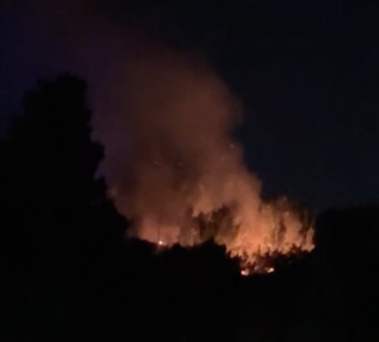 Fiamme nella riserva del Pino d’Aleppo, situazione critica a Vittoria