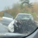 Incidente sulla Ragusa-Catania: tre auto coinvolte, quattro feriti