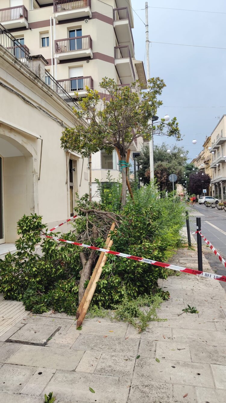Forte vento e pioggia a Ragusa, danni in via Roma