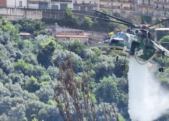 Chiaramonte Gulfi, devastante incendio alla Forestale