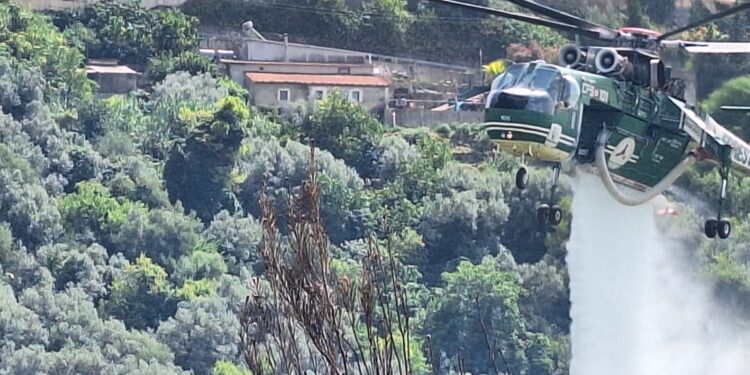 Chiaramonte Gulfi, devastante incendio alla Forestale