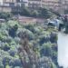 Chiaramonte Gulfi, devastante incendio alla Forestale