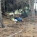 Vittoria, i volontari vanno a ripulire un boschetto e trovano un senzatetto che dormiva