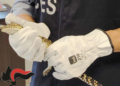 Santa Croce, in casa due coccodrilli: arrestato 53enne