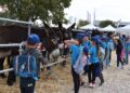 Ragusa, torna la Fiera agroalimentare mediterranea