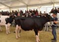 La zootecnia al centro della 51esima edizione della Fam