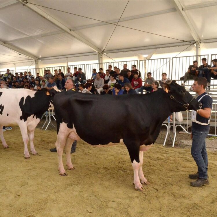 La zootecnia al centro della 51esima edizione della Fam