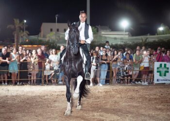 Spettacoli equestri protagonisti alla 51esima edizione della Fam