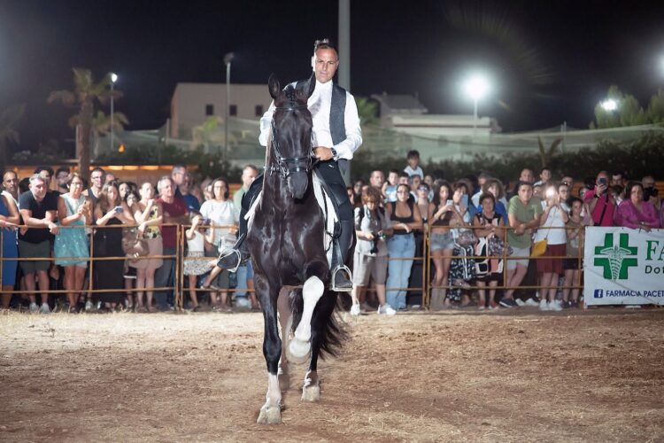 Spettacoli equestri protagonisti alla 51esima edizione della Fam