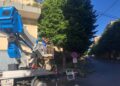 Ragusa, saranno rimosse le essenze arboree pericolanti in viale Europa
