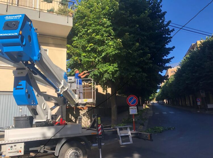 Ragusa, saranno rimosse le essenze arboree pericolanti in viale Europa