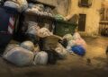 Topi in città a Ragusa, lanciata una petizione