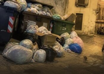 Topi in città a Ragusa, lanciata una petizione