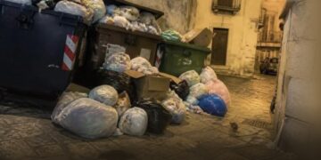 Topi in città a Ragusa, lanciata una petizione