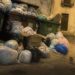 Topi in città a Ragusa, lanciata una petizione