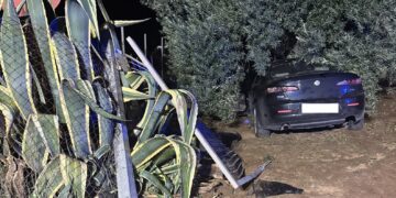 Pedalino, sfonda il cancello con l’auto e si schianta contro un ulivo