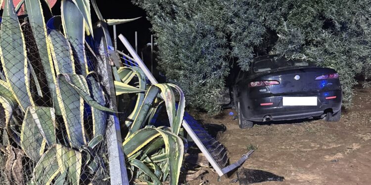 Pedalino, sfonda il cancello con l’auto e si schianta contro un ulivo