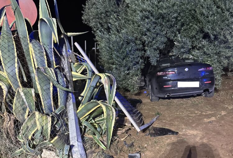 Pedalino, sfonda il cancello con l’auto e si schianta contro un ulivo