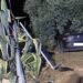 Pedalino, sfonda il cancello con l’auto e si schianta contro un ulivo