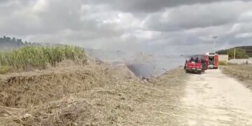 Canneto al rogo sulla Ispica-Pachino, vigili del fuoco al lavoro