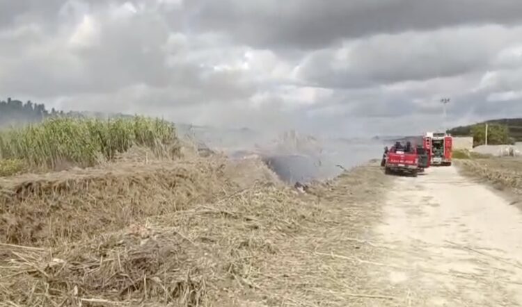 Canneto al rogo sulla Ispica-Pachino, vigili del fuoco al lavoro