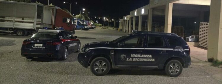 Santa Croce, tentato furto al mercato ortofrutticolo: ladri in fuga